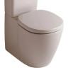 Крышка-сиденье IDEAL STANDARD ECCO , со стальными шарнирами W301401